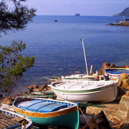 Camping Orly D'Azur Hotell Six-Fours-les-Plages Eksteriør bilde