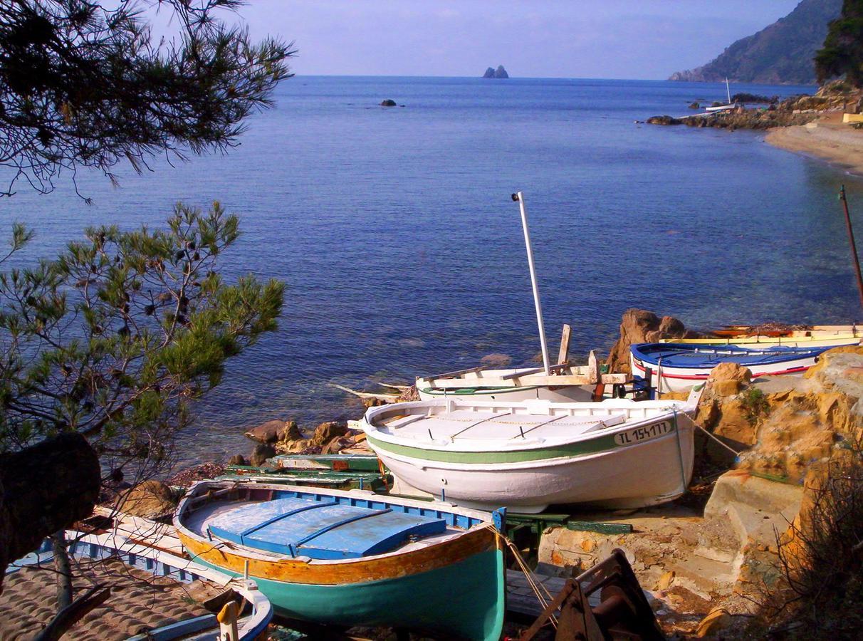 Camping Orly D'Azur Hotell Six-Fours-les-Plages Eksteriør bilde